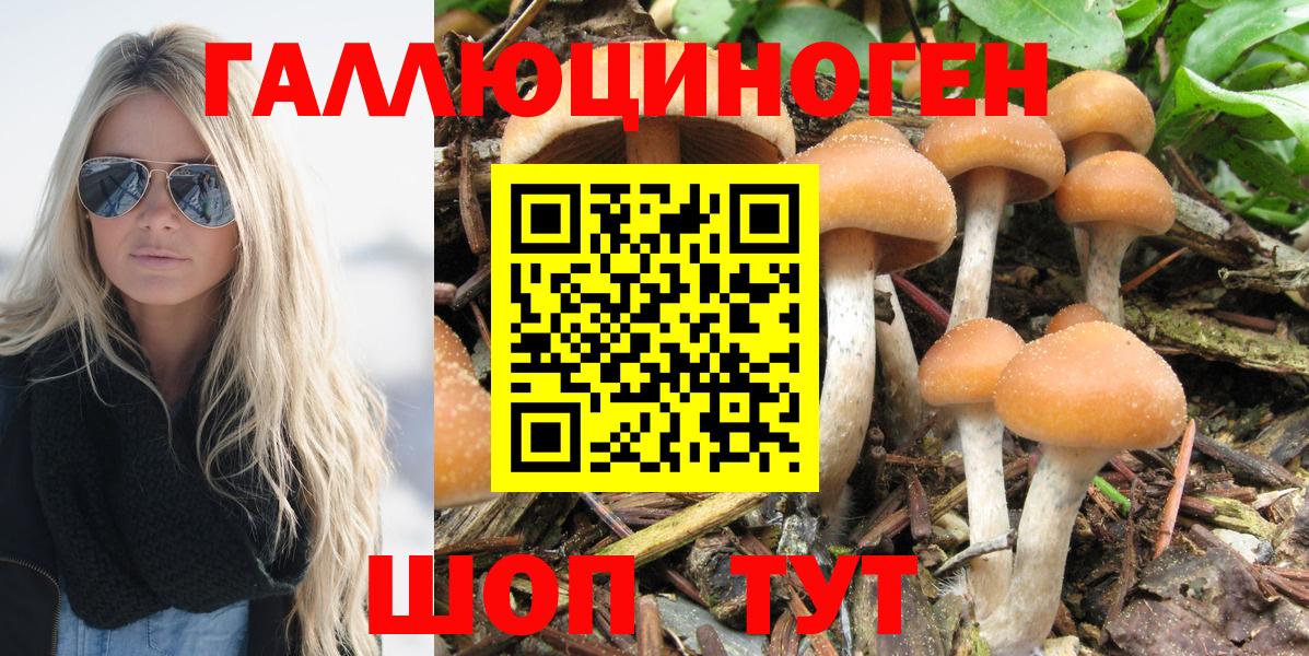 Псилоцибиновые грибы мухоморы  Вход с VPN  Галлюциногенные грибы Psilocybe  Конаково 