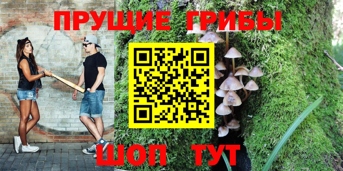 Галлюциногенные грибы Psilocybe Конаково