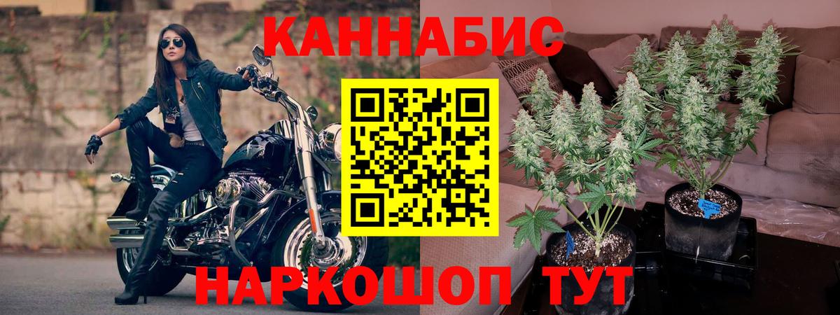 Конопля семена  МАРИХУАНА LSD WEED  Вход с VPN  Конопля VHQ  Конаково  Бошки марихуана индика 